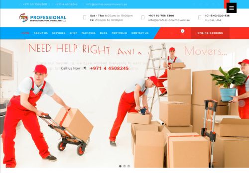 Professional Furniture Movers and Packers